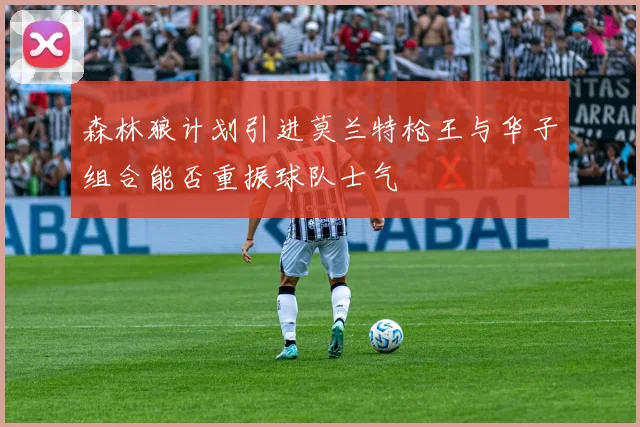 森林狼计划引进莫兰特枪王与华子组合能否重振球队士气