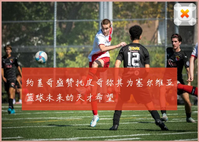 约基奇盛赞托皮奇称其为塞尔维亚篮球未来的天才希望